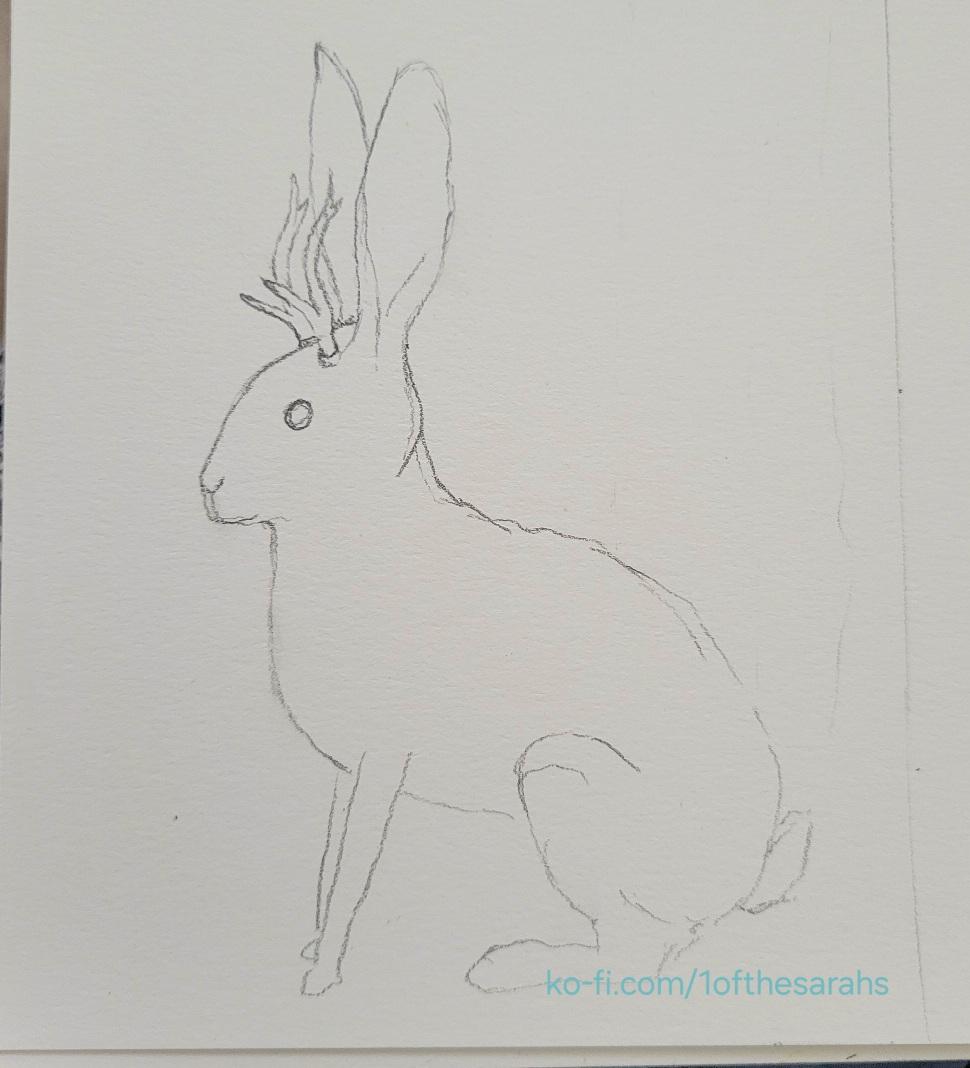Simple sketch of a jackrabbit with long legs, huge ears, and tiny horns.
